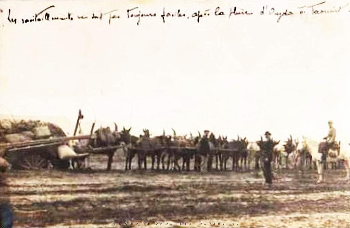 BIVEN Georges - 229- Oujda.jpg